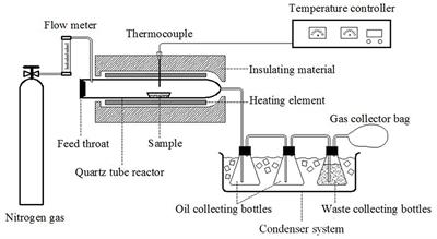 Catalytic Fast Pyrolysis of Corn Stalk for Phenols Production With Solid Catalysts